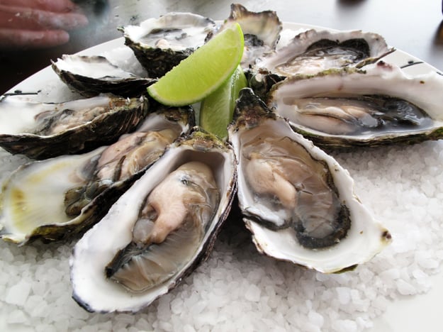 Flickr-Of_guido_Pacific_oysters