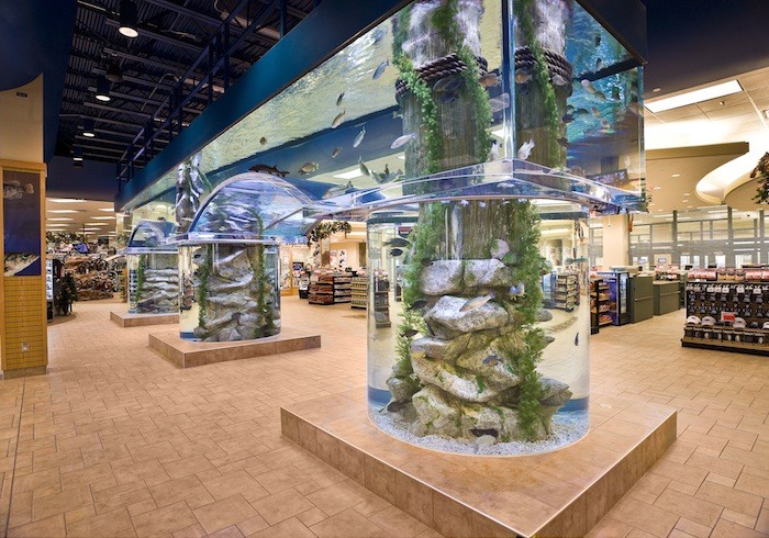 Living Color Aquariums Living Color Aquariums