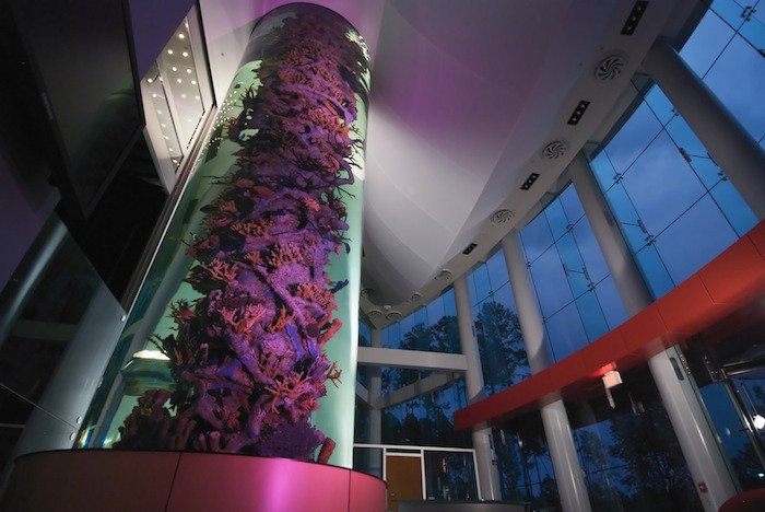 Living Color Aquariums Living Color Aquariums