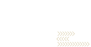 Jerome-Pustilnik_logo-vertical_RGB-300x156-1