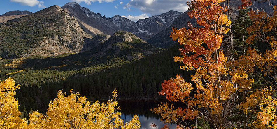 Aspen Filmfest