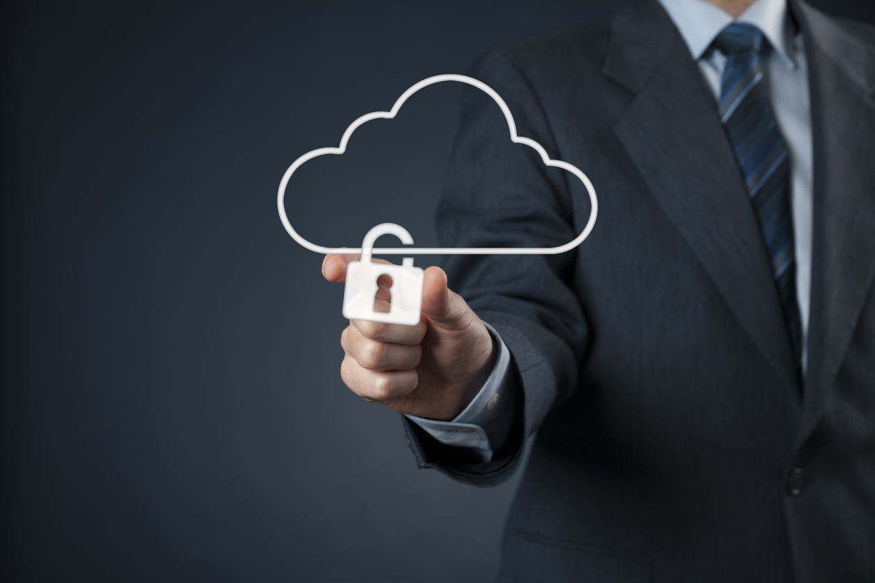 Cloud Security in Focus